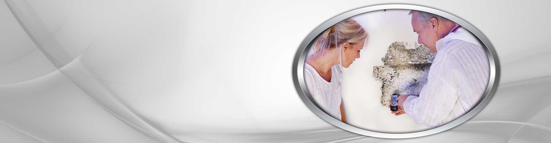 Mold-Inspection-bg2